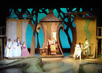 Read more about the article Into the Woods