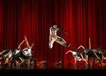 Read more about the article Repertory Dance Concert: DanceFest