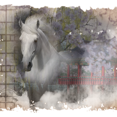 Yeolha_ShowGraphic_transparent