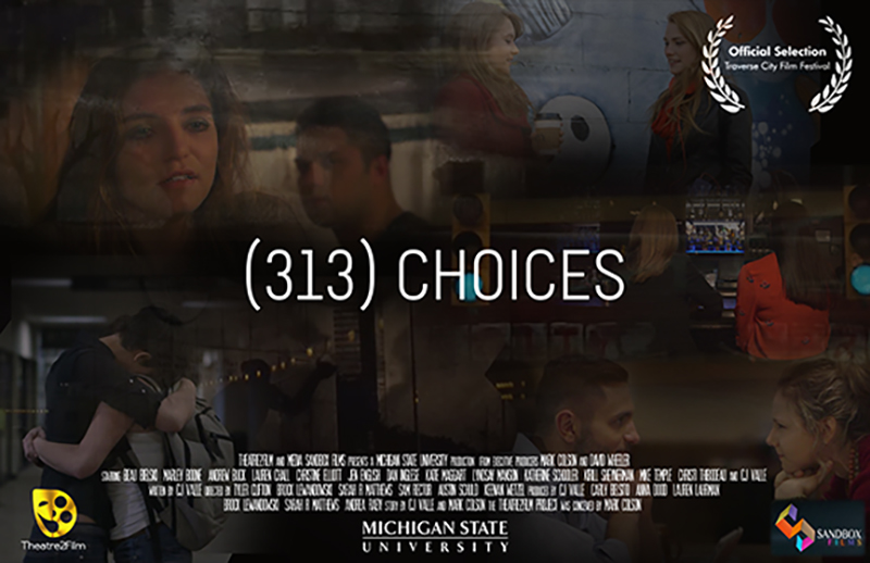 poster of a compilations of scenes from (313) choices