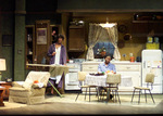 Read more about the article A Raisin in the Sun